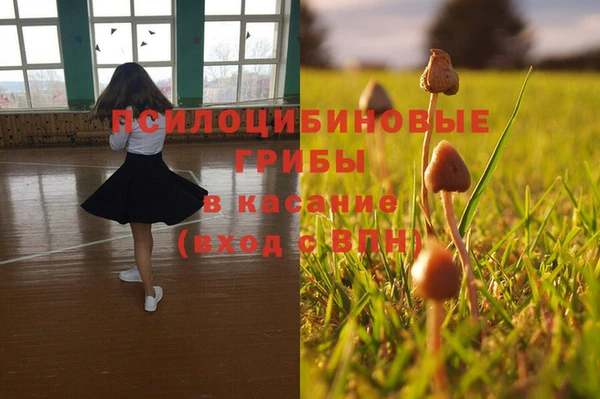 амф Магадан