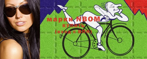 ECSTASY Майский