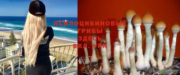 амф Магадан