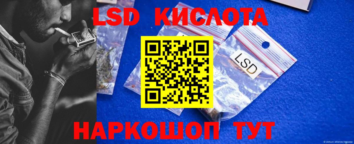 Галлюциногенные грибы Губкинский