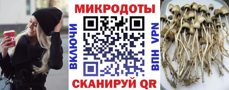Галлюциногенные грибы мухоморы  Купить закладки  Губкинский 
