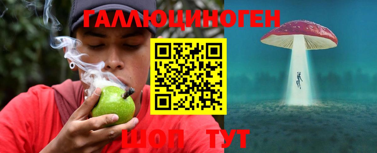 Галлюциногенные грибы Psilocybine cubensis Губкинский