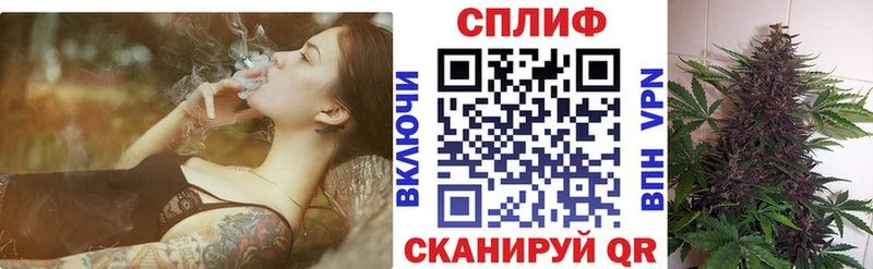 Купить где  Губкинский  Канабис VHQ 